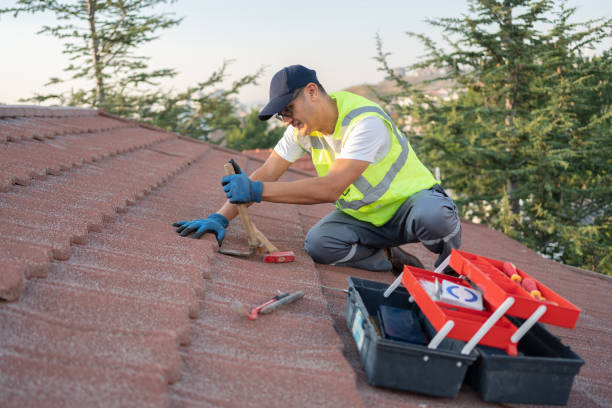 Best Roof Replacement Cost  in North Brooksville, FL