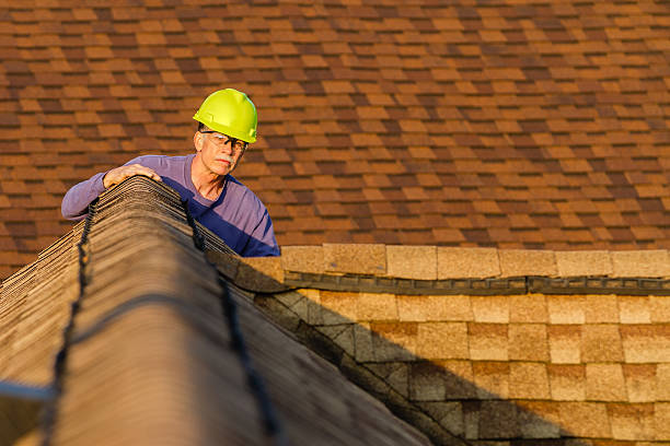 Best Roof Repair Services  in North Brooksville, FL