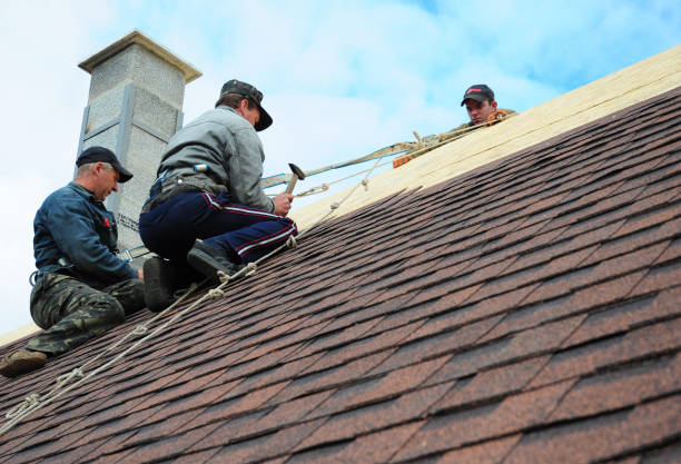 Best Roof Gutter Cleaning  in North Brooksville, FL